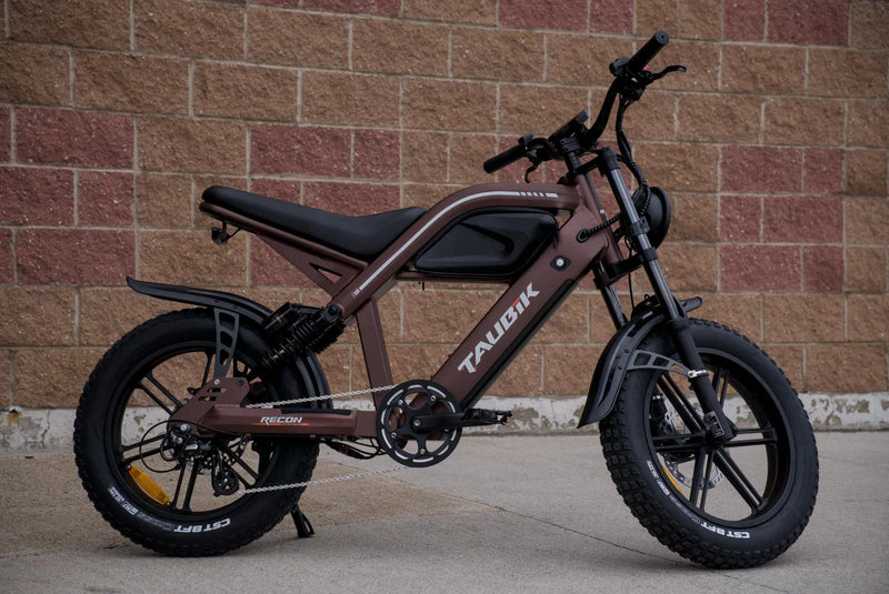 Taubik Recon 1000W Wide Tire Electric Bike 20 inch