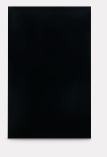 Panneau porte frigo Dometic DM2672 DM2682 noir acrylique VR
