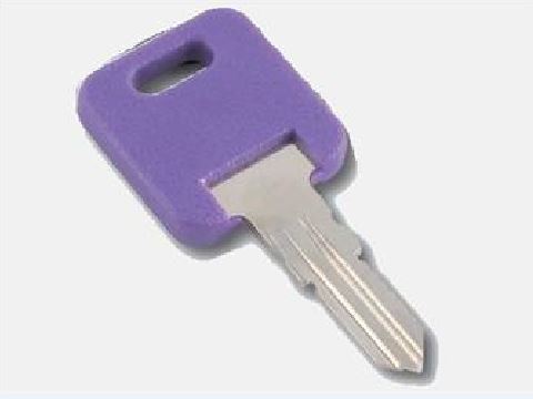 Replacement Key 301 / Unit