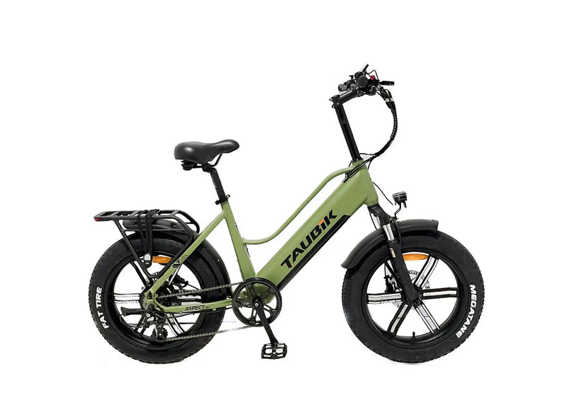 Vélo Électrique Taubik Aspect 500W - Batterie Samsung UL | Autonomie 100 km