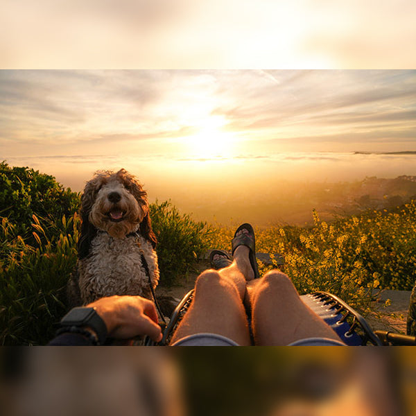 GCI FreeForm™ Zero Gravity Lounger - Blue