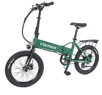 300W Folding Electric Bike with Step Over Frame - Trailrider