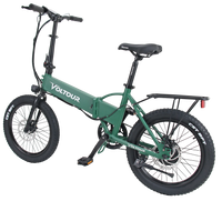 300W Folding Electric Bike with Step Over Frame - Trailrider