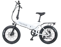 300W Folding Electric Bike with Step Over Frame - Trailrider