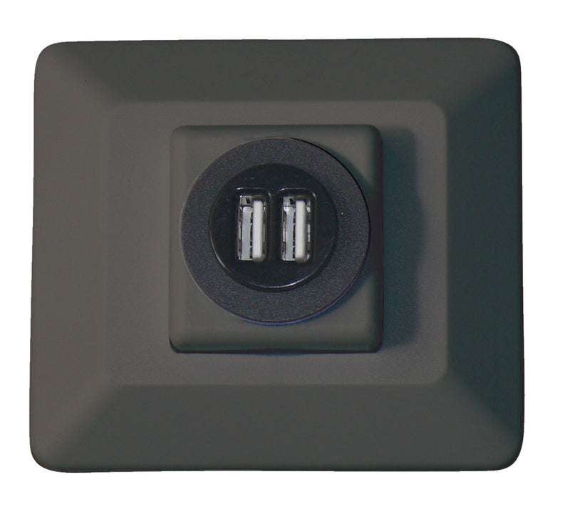 Black USB Charging Station - 2 Ports 2.1A, Decorative Mount, 12V