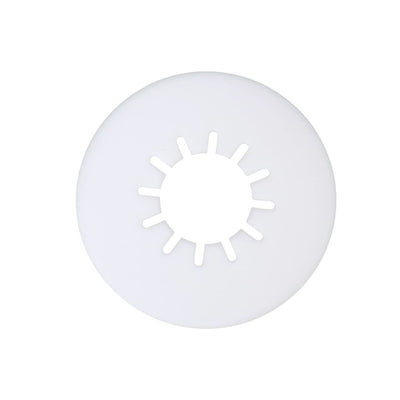Disque De Lubrification 10''