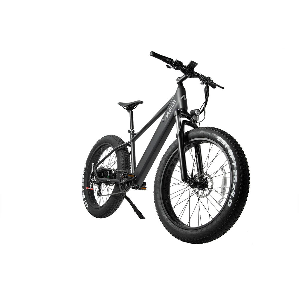Electric Fat Bike - Ares