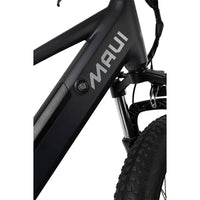 Electric Fat Bike - Ares