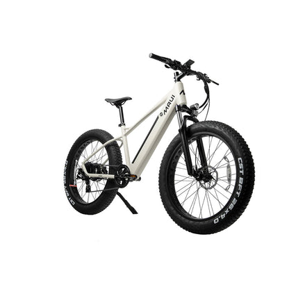 Electric Fat Bike - Ares
