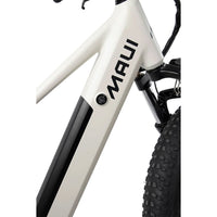 Electric Fat Bike - Ares