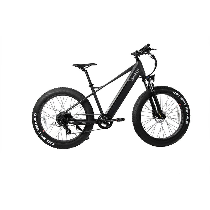Electric Fat Bike - Ares