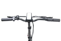 Vélo Électrique Pliant 300W avec Cadre Step Over - Trailrider Voltour - Vélo Tout Terrain