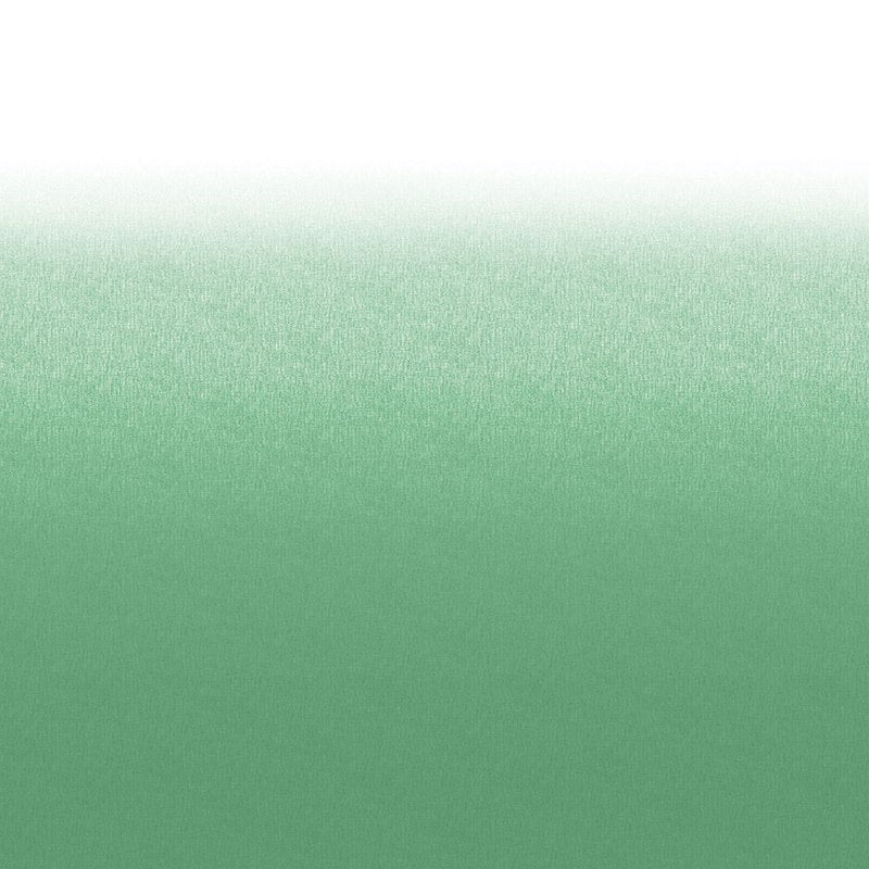 Toile d’auvent Solera 20 pi – Remplacement universel en vinyle vert avec protecteur blanc