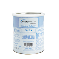Adhésif Acrylique Dicor pour Toiture de VR – 1 Gallon, Facile à Appliquer