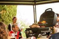 Napoleon TravelQ™ PRO285 Portable Propane Gas Grill