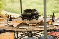 Napoleon TravelQ™ PRO285 Portable Propane Gas Grill