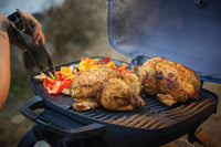 Barbecue au Propane Portatif Napoleon TravelQ™ 285 - Compact et Puissant