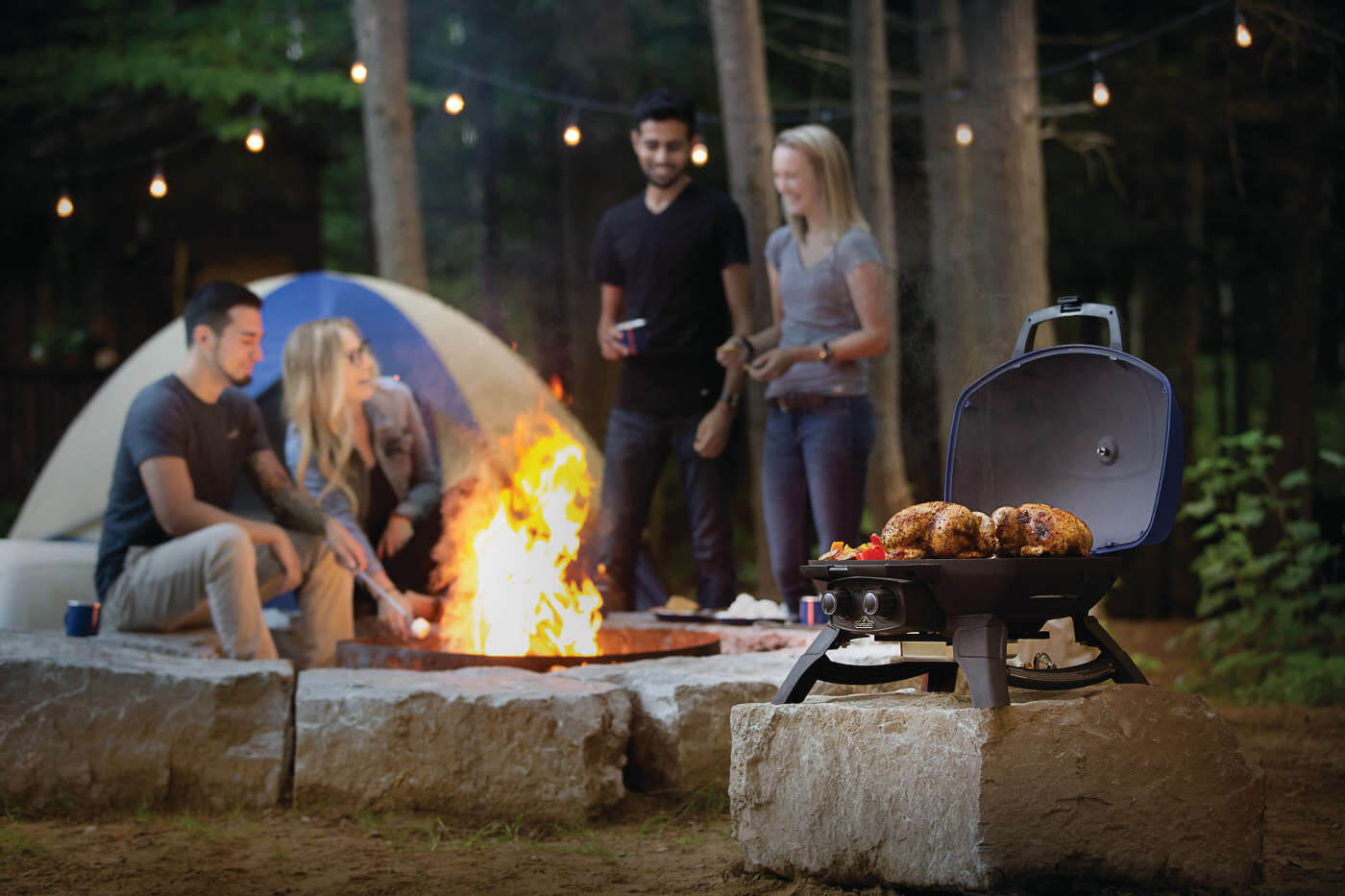 Barbecue au Propane Portatif Napoleon TravelQ™ 285 - Compact et Puissant