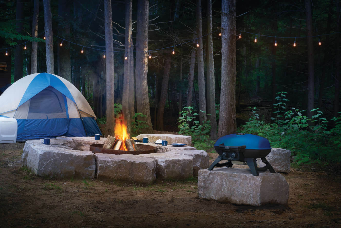 Barbecue au Propane Portatif Napoleon TravelQ™ 285 - Compact et Puissant