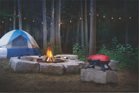 Napoleon TravelQ™ 285 Red Portable Propane Grill - Compact and Powerful