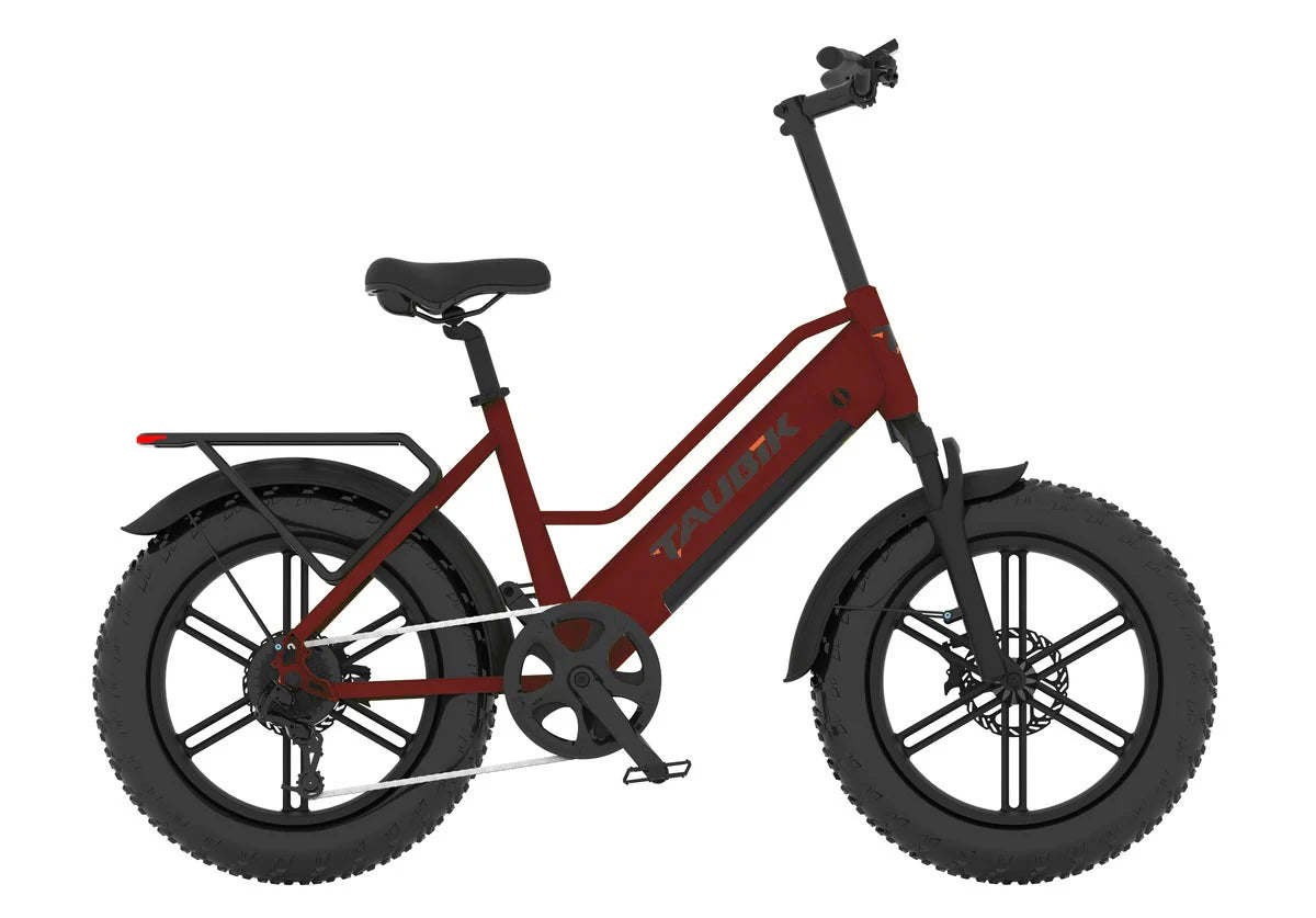 Vélo Électrique Taubik Aspect 500W - Batterie Samsung UL | Autonomie 100 km