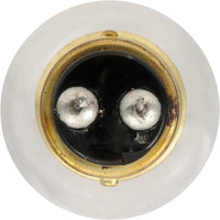 Mini ampoules 1076 /unité