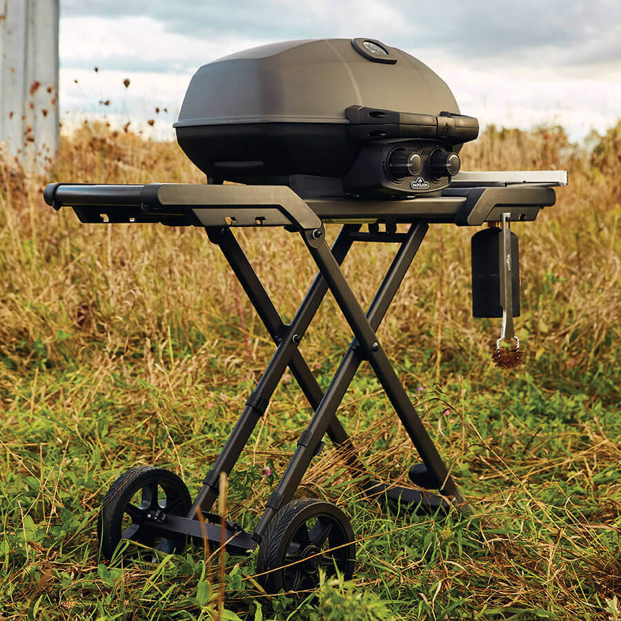 BBQ NAPOLEON PHANTOM TRAVELQ PRO285X