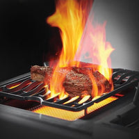 BBQ Napoleon PRESTIGE 500 - Noir
