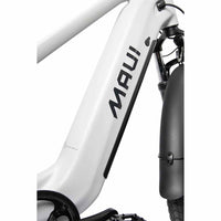Electric city bike - Hera